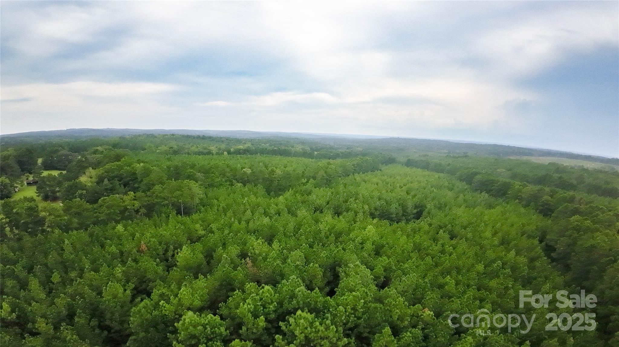 101-ac Woods Ferry Road Carlisle, SC 29031 - Photo 29 of 29