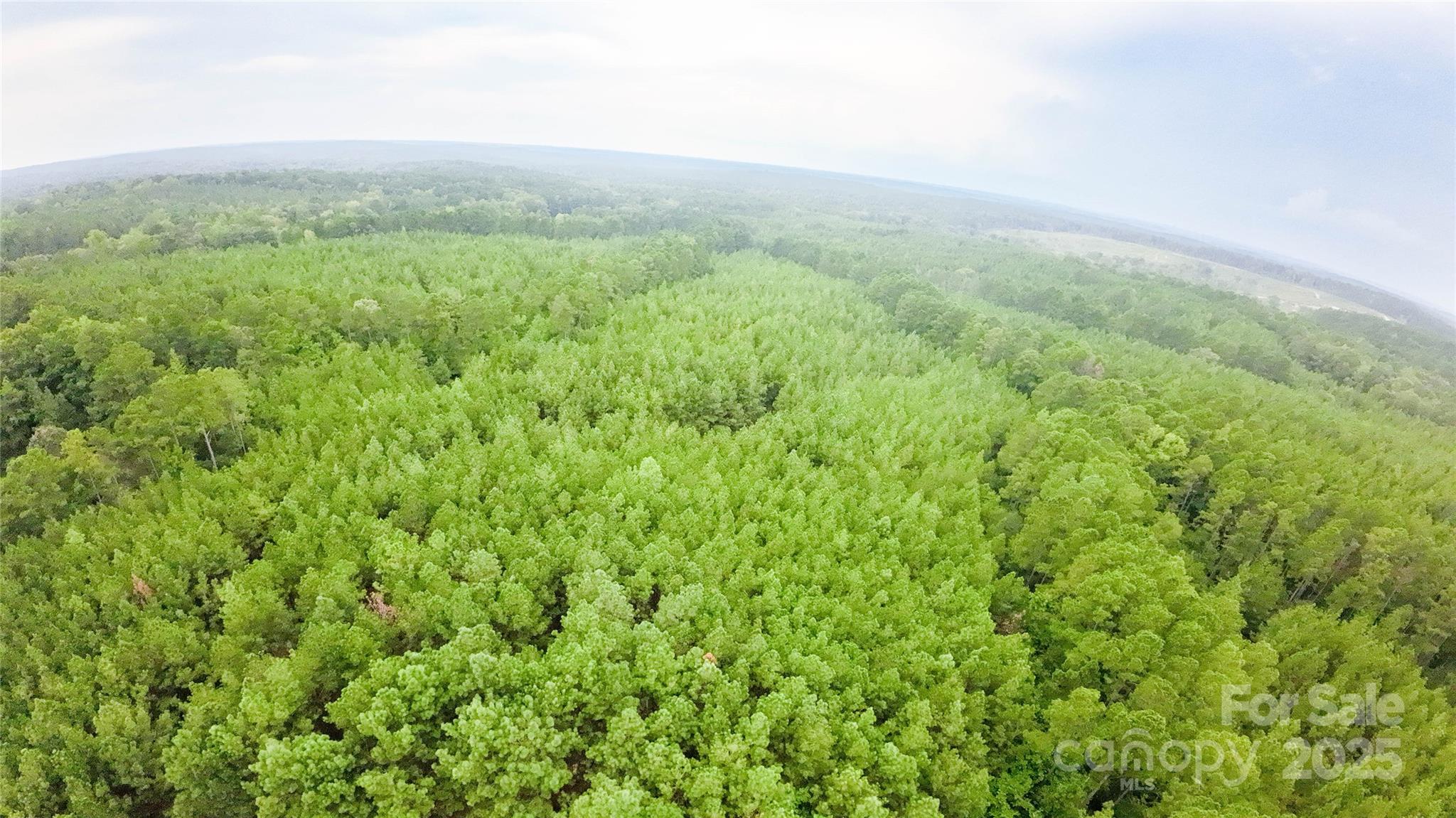 101-ac Woods Ferry Road Carlisle, SC 29031 - Photo 3 of 29