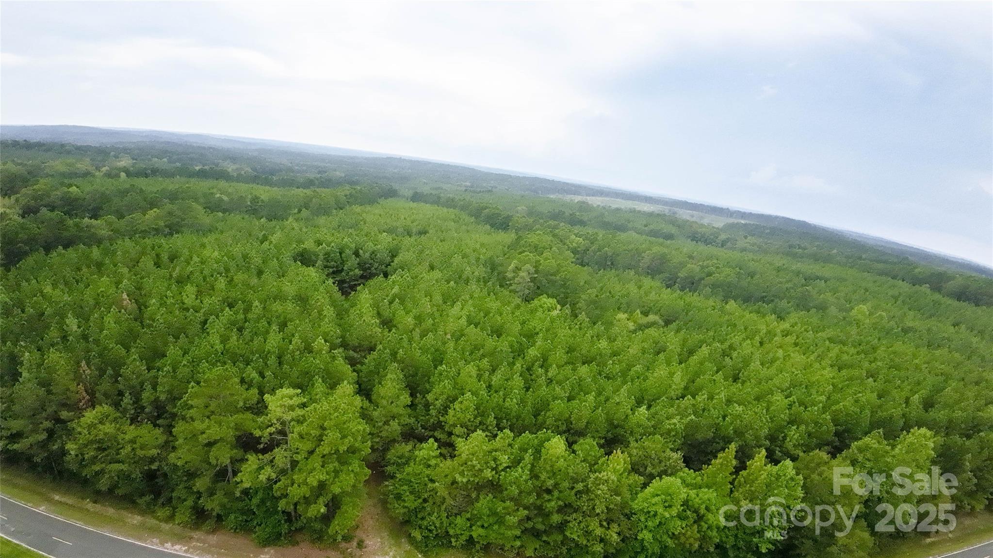 101-ac Woods Ferry Road Carlisle, SC 29031 - Photo 4 of 29