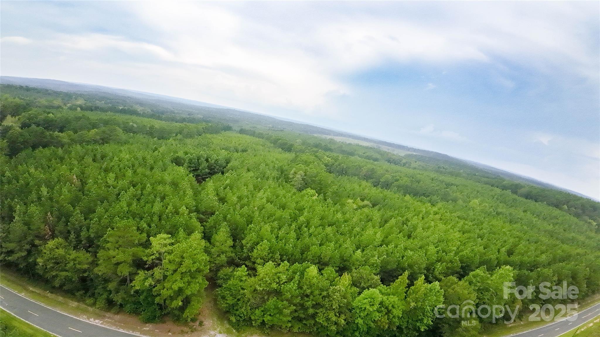 101-ac Woods Ferry Road Carlisle, SC 29031 - Photo 5 of 29