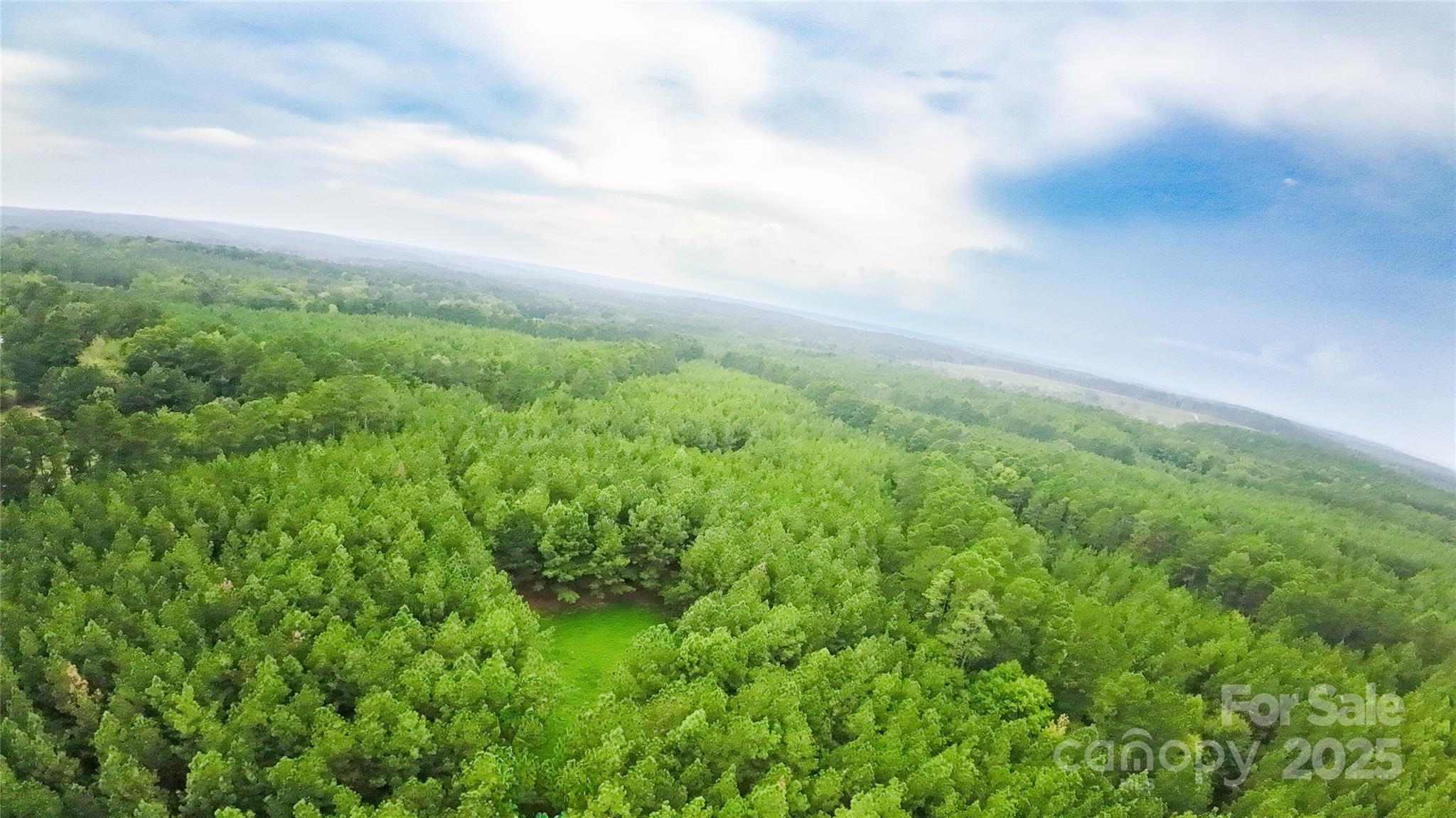 101-ac Woods Ferry Road Carlisle, SC 29031 - Photo 6 of 29