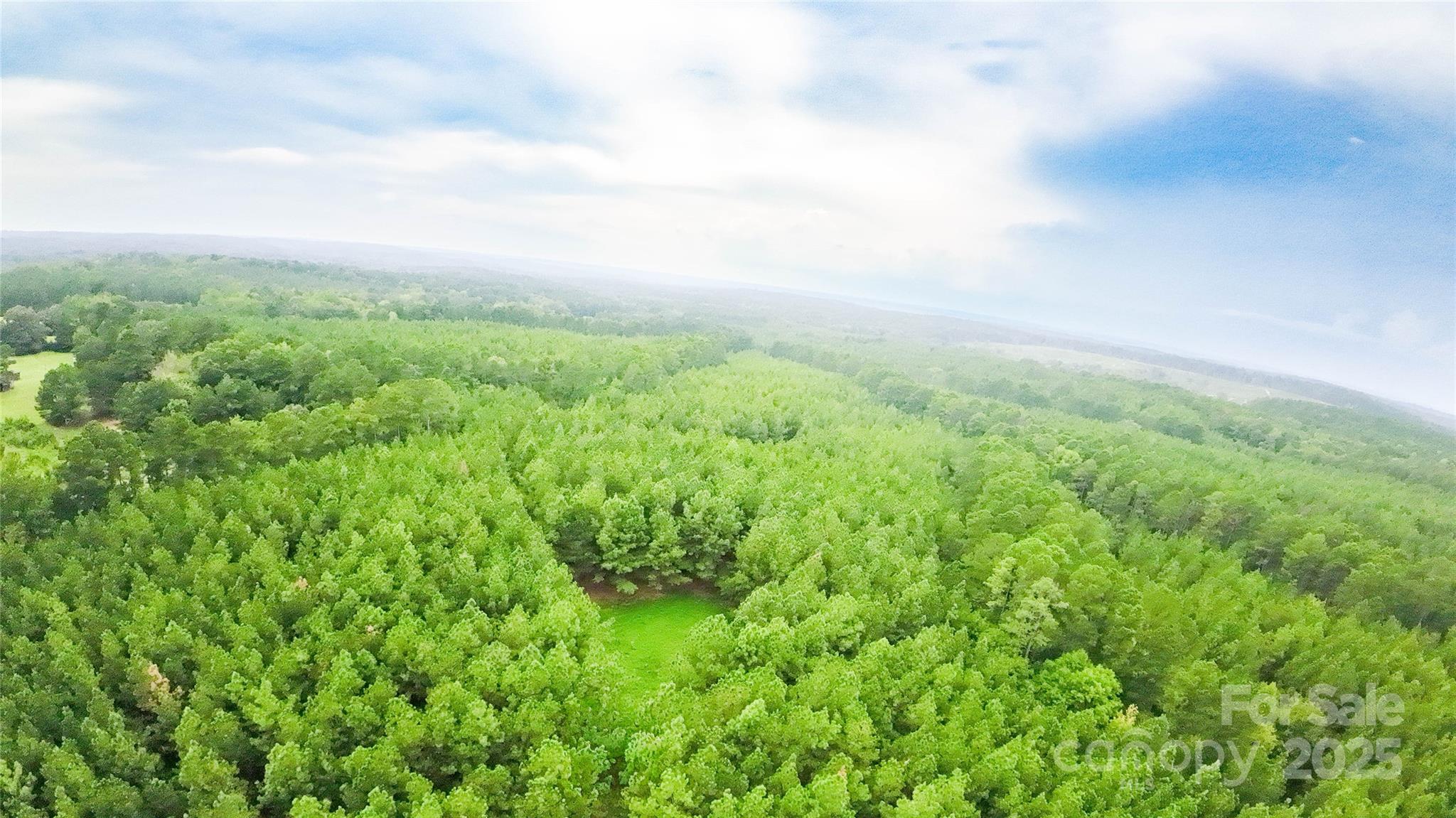 101-ac Woods Ferry Road Carlisle, SC 29031 - Photo 7 of 29