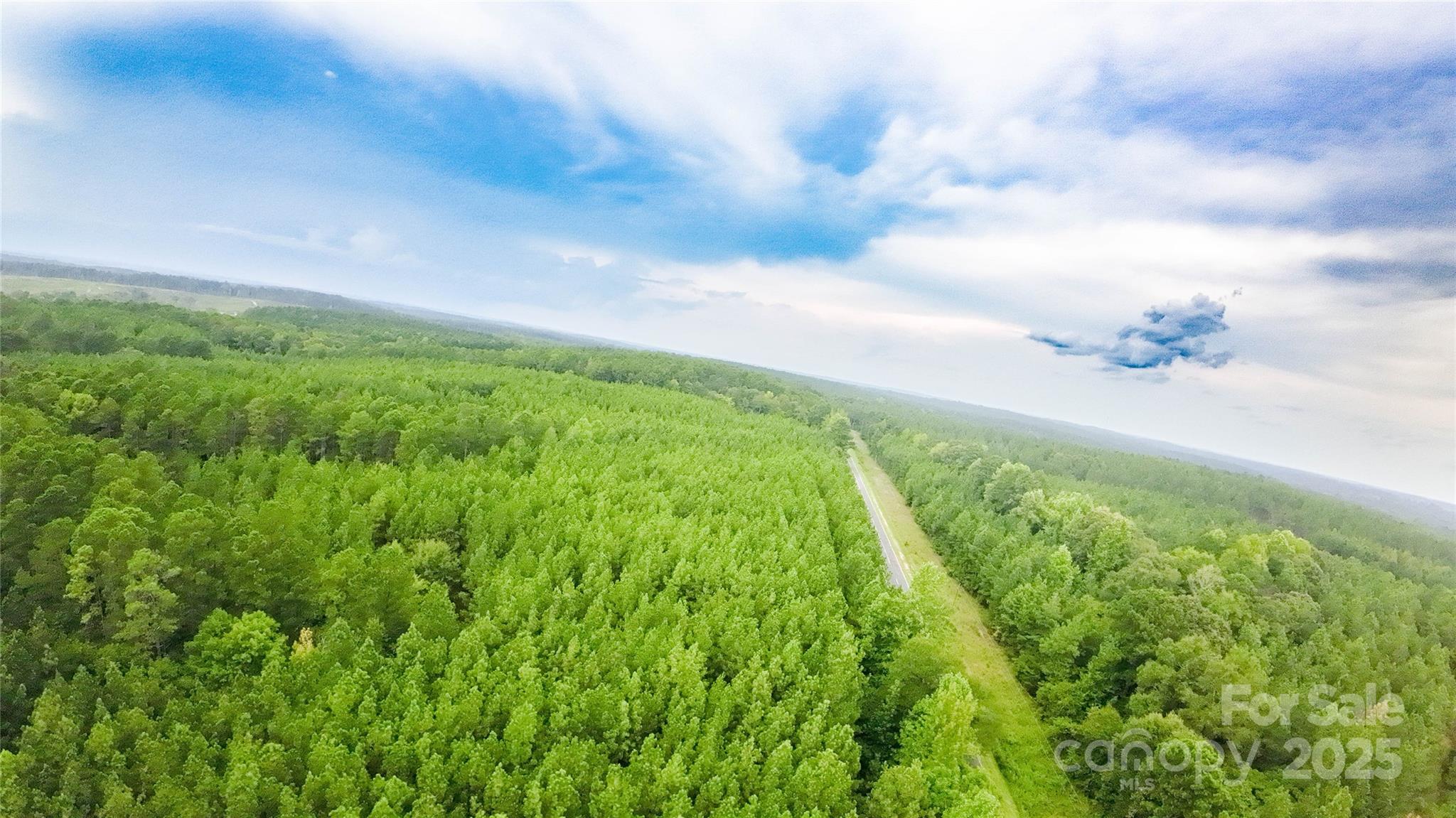 101-ac Woods Ferry Road Carlisle, SC 29031 - Photo 8 of 29