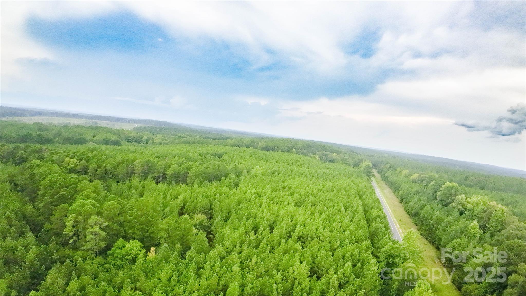 101-ac Woods Ferry Road Carlisle, SC 29031 - Photo 9 of 29