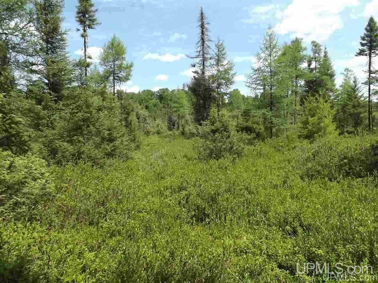 Tbd South Olson Lake Road Michigamme, MI 49861 - Photo 12 of 25