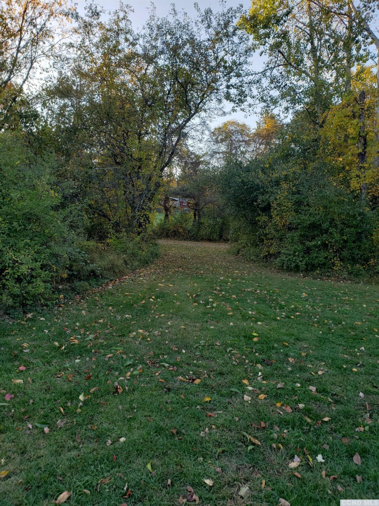 207 Twin Bridges Road Copake, NY 12529 - Photo 14 of 19 Photo 14