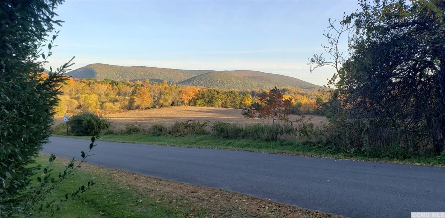207 Twin Bridges Road Copake, NY 12529 - Photo 17 of 19 Photo 17