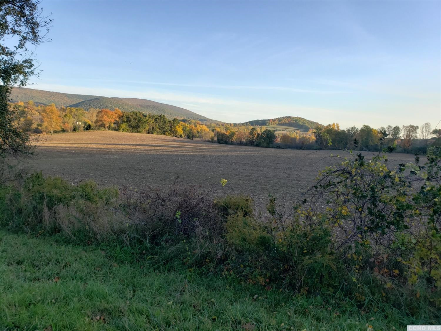 207 Twin Bridges Road Copake, NY 12529 - Photo 18 of 19 Photo 18