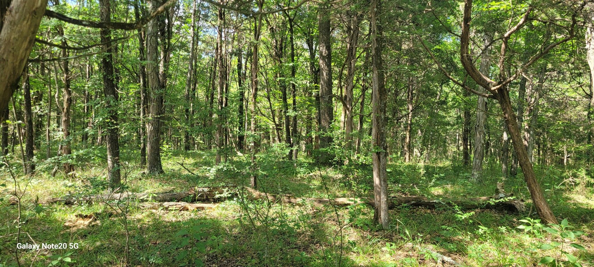 2 Clem Creek Road Chapel Hill, TN 37034 - Photo 3 of 9