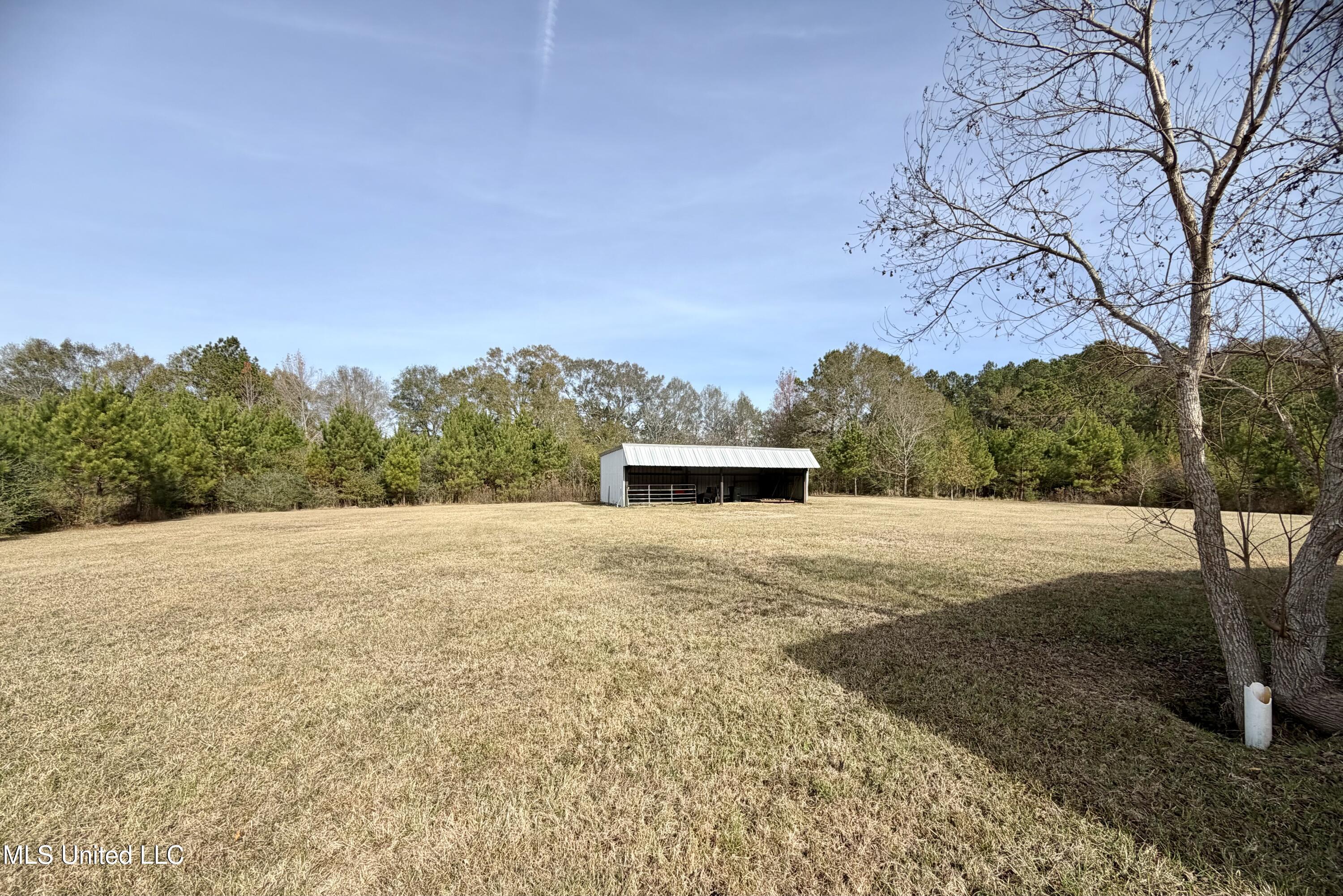 107 Cybur Hills Road Carriere, MS 39426 - Photo 29 of 31 IMG_7749