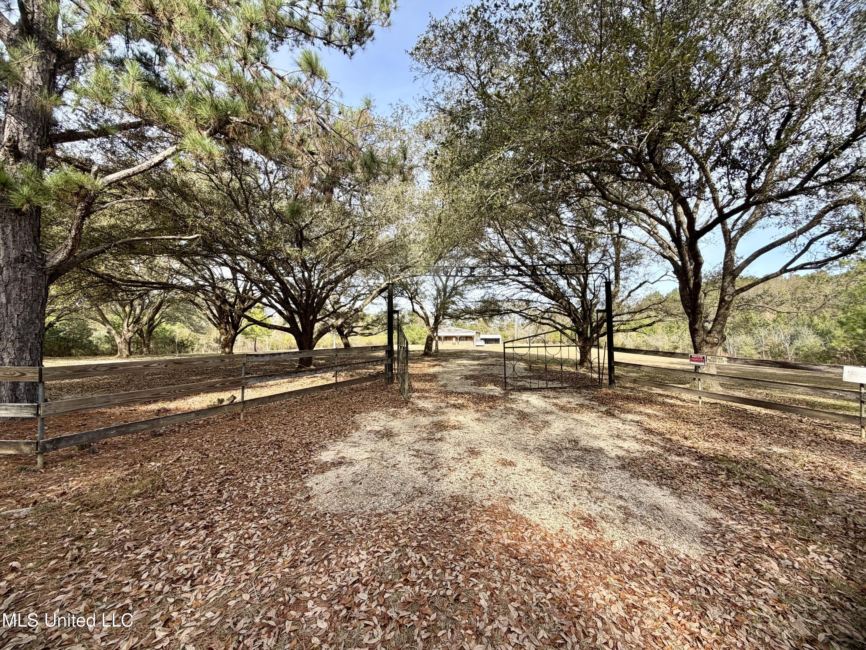 107 Cybur Hills Road Carriere, MS 39426 - Photo 30 of 31 IMG_7763
