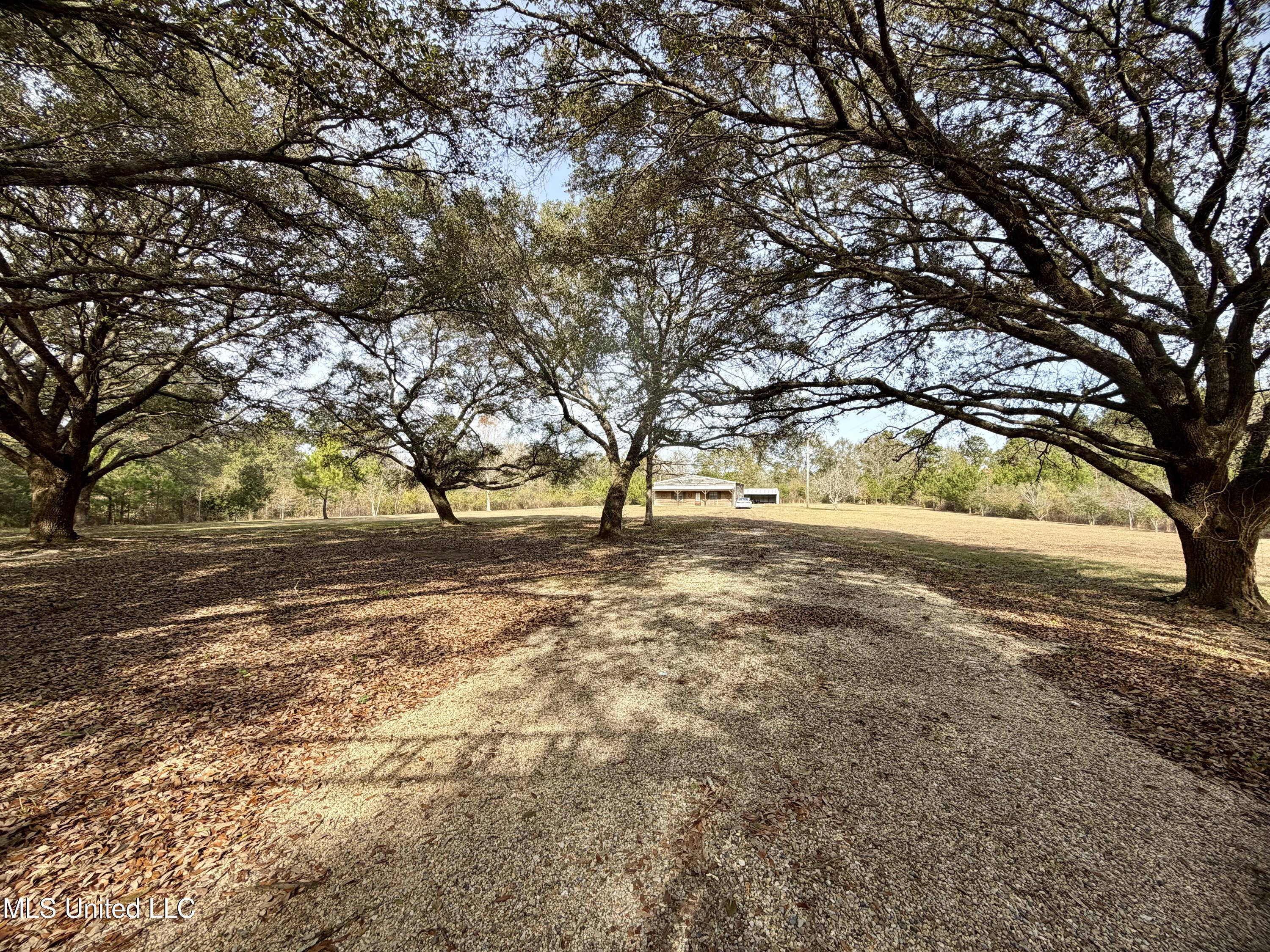 107 Cybur Hills Road Carriere, MS 39426 - Photo 3 of 31 IMG_7771