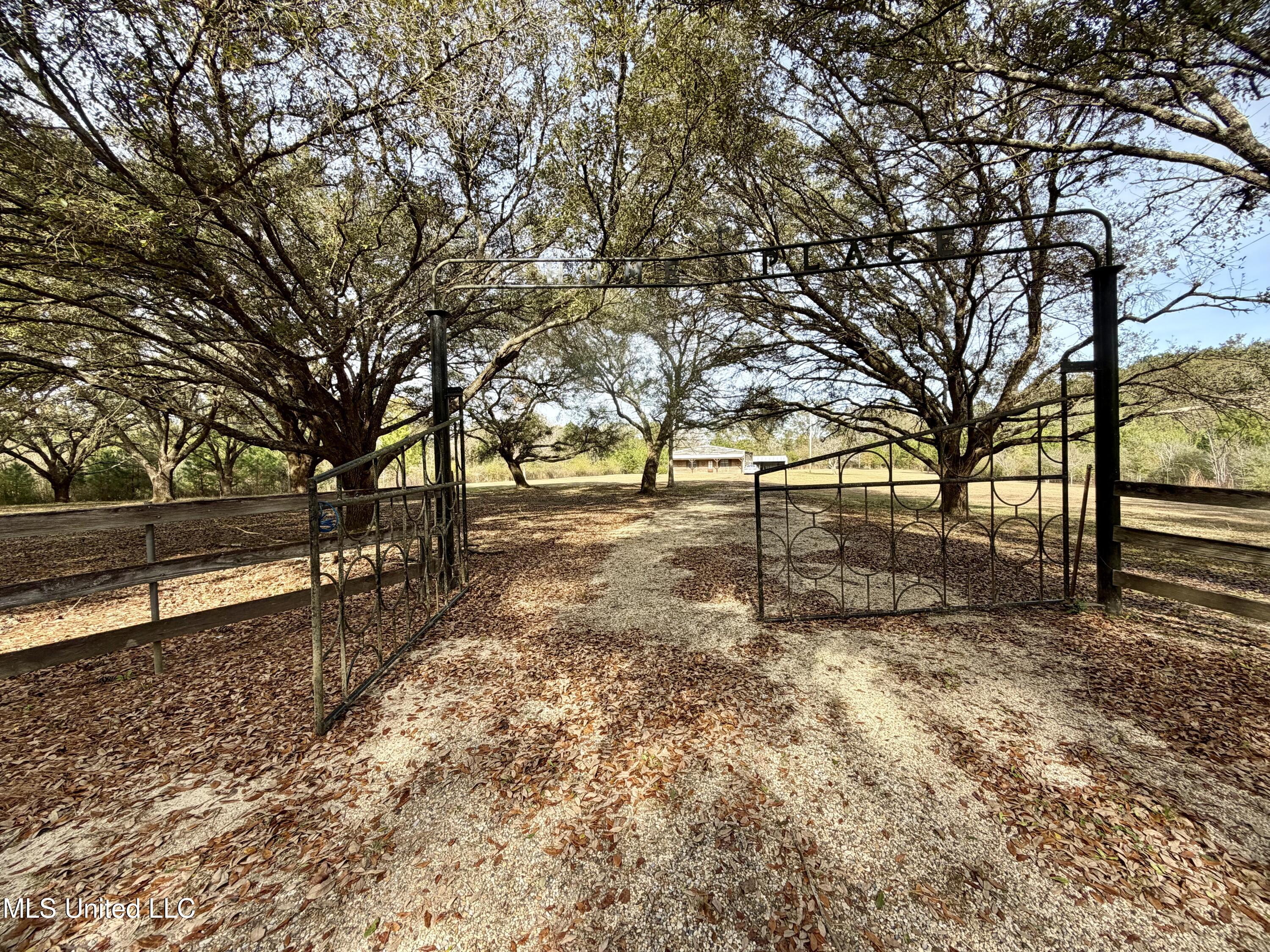 107 Cybur Hills Road Carriere, MS 39426 - Photo 4 of 31 IMG_7768