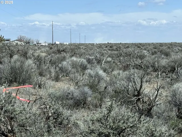 $11,900 | Honey Do Lane, Unit TL 2500, Christmas Valley, OR 97641