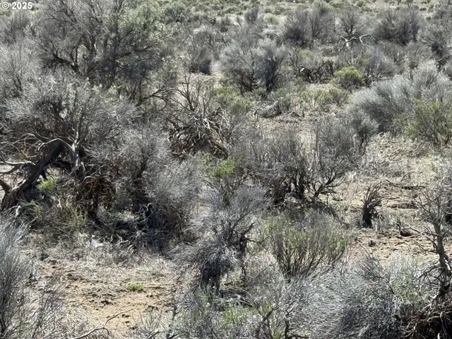a view of a city with lush green forest