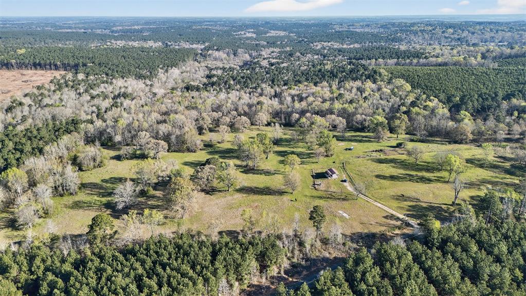 0 Winn School Road Ida, LA 71044 - Photo 4 of 14 an aerial view of residential houses with outdoor space and trees
