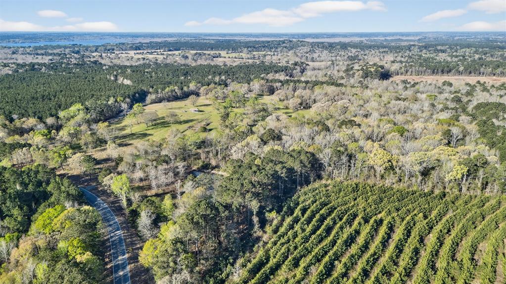 0 Winn School Road Ida, LA 71044 - Photo 8 of 14 a view of a city