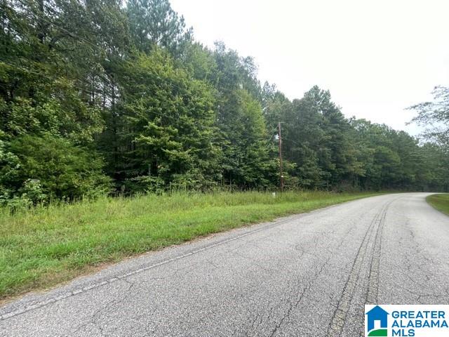 15 County Road, Unit 80 Wadley, AL 36276 - Photo 3 of 6