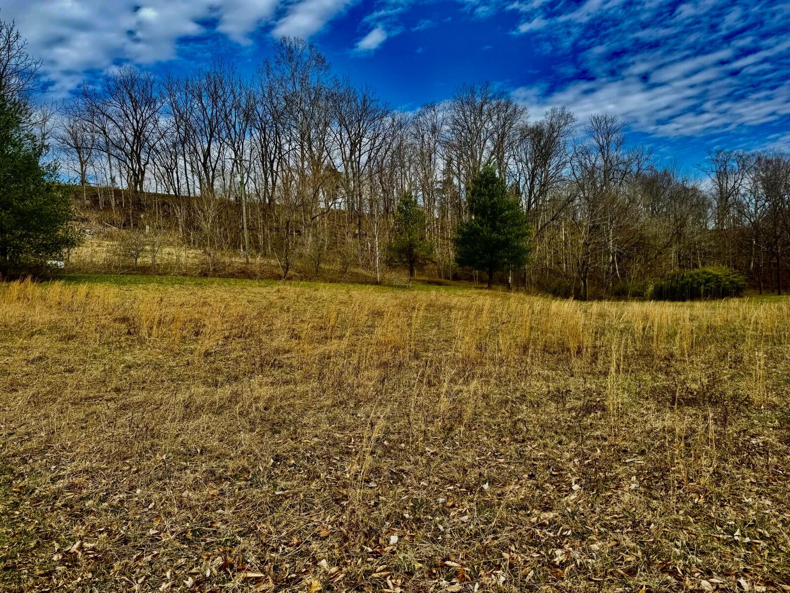 124 Bens Cliff Road Monticello, KY 42633 - Photo 42 of 49 IMG_6253