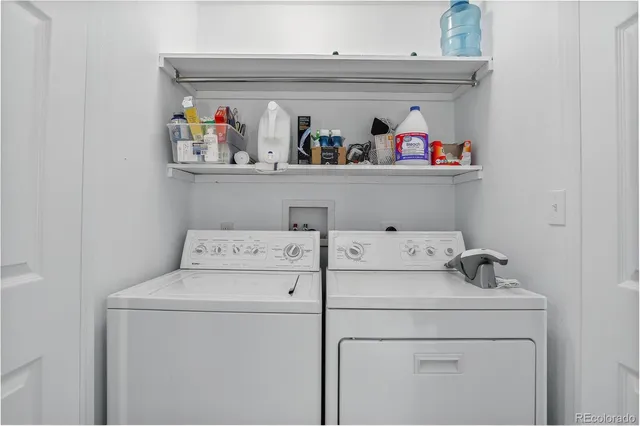 a view of a green yard with large trees