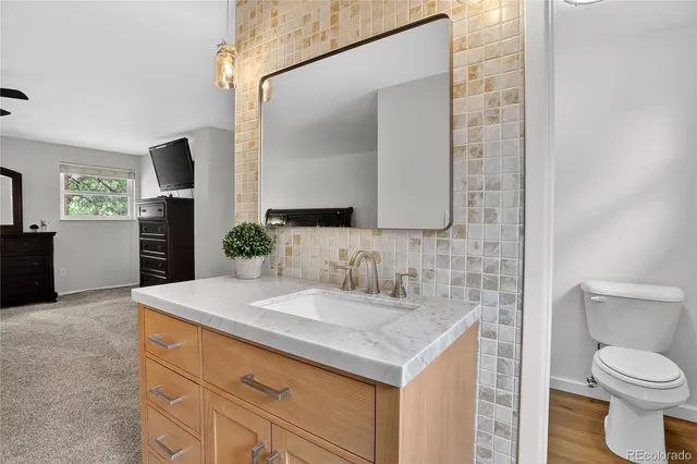 a bathroom with a sink and a toilet