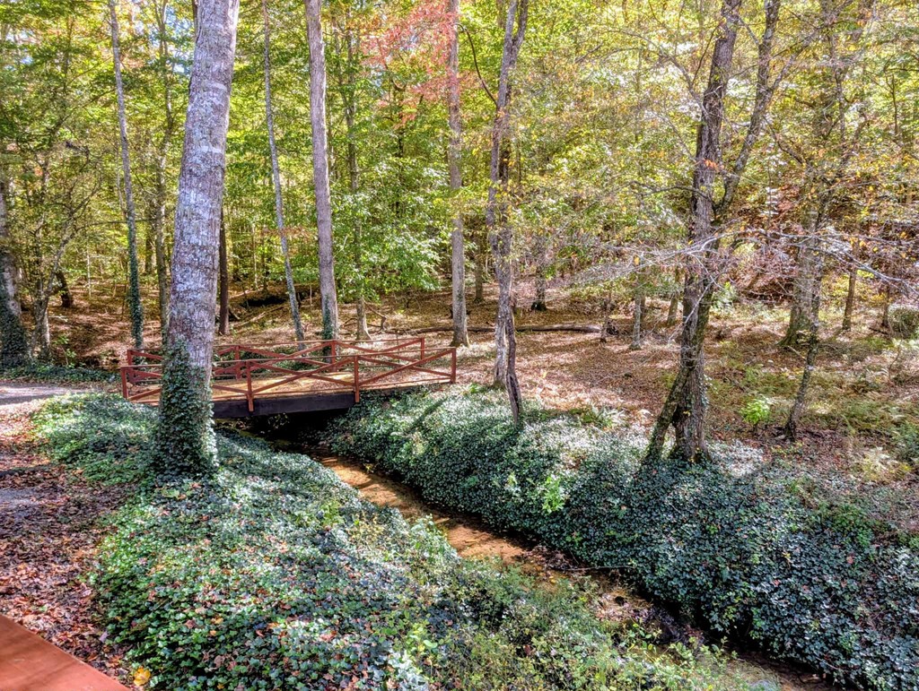 2471 High River Road Hiawassee, GA 30546 - Photo 33 of 89 Gallery Image 33