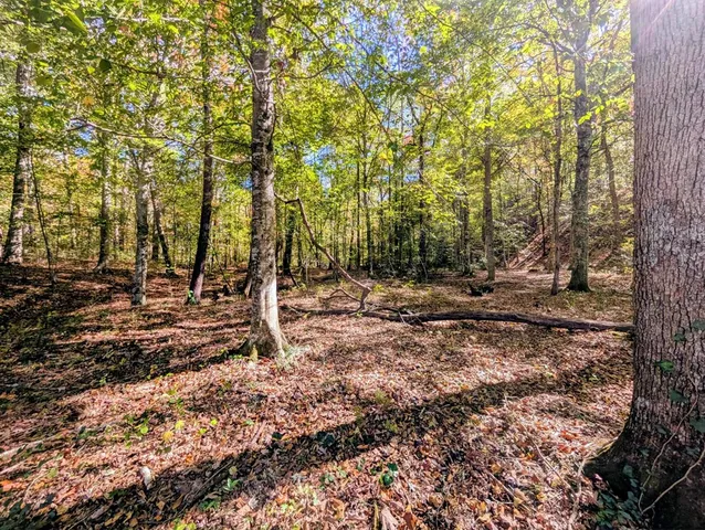 $469,900 | 2471 High River Road, Hiawassee, GA 30546