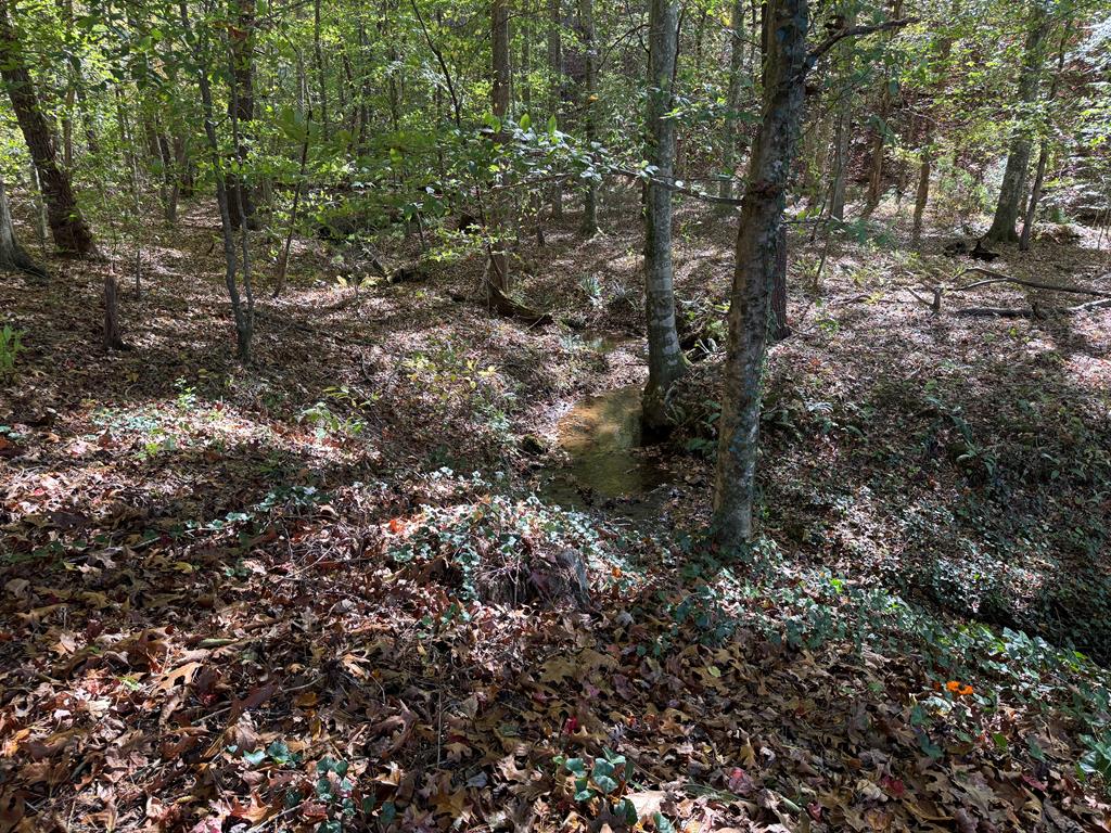 2471 High River Road Hiawassee, GA 30546 - Photo 50 of 89 Gallery Image 50