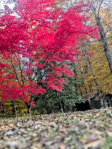 $469,900 | 2471 High River Road, Hiawassee, GA 30546