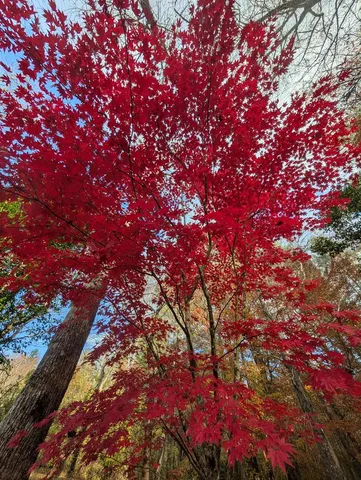 $469,900 | 2471 High River Road, Hiawassee, GA 30546