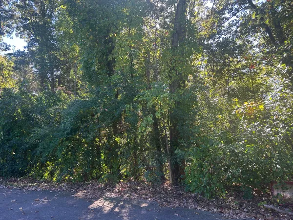 $22,000 | V/l Altavista, Unit LOT 11, Battle Creek, MI 49017