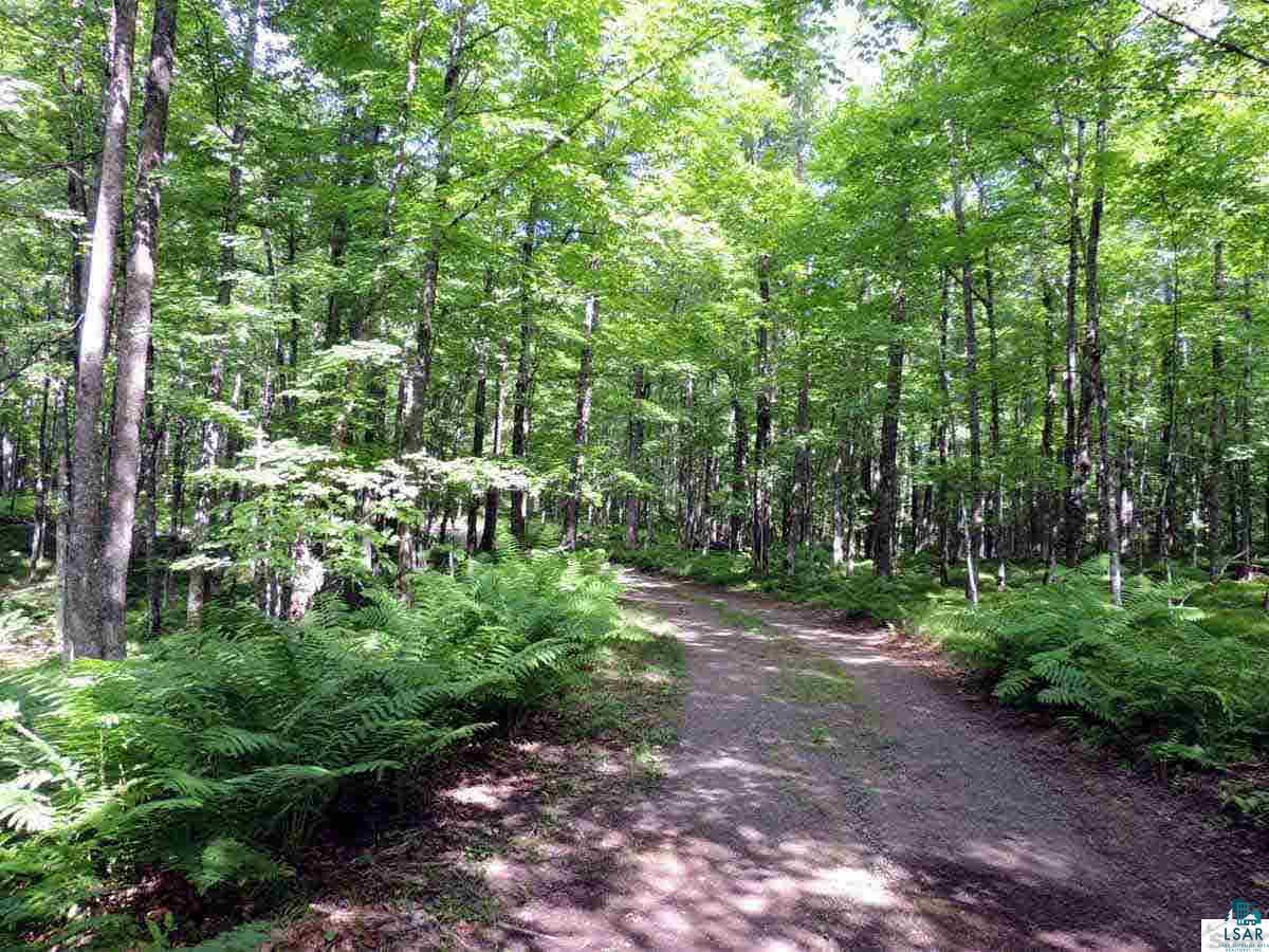 44830 West Cable Lake Road Cable, WI 54821 - Photo 15 of 15 Gallery Image 15