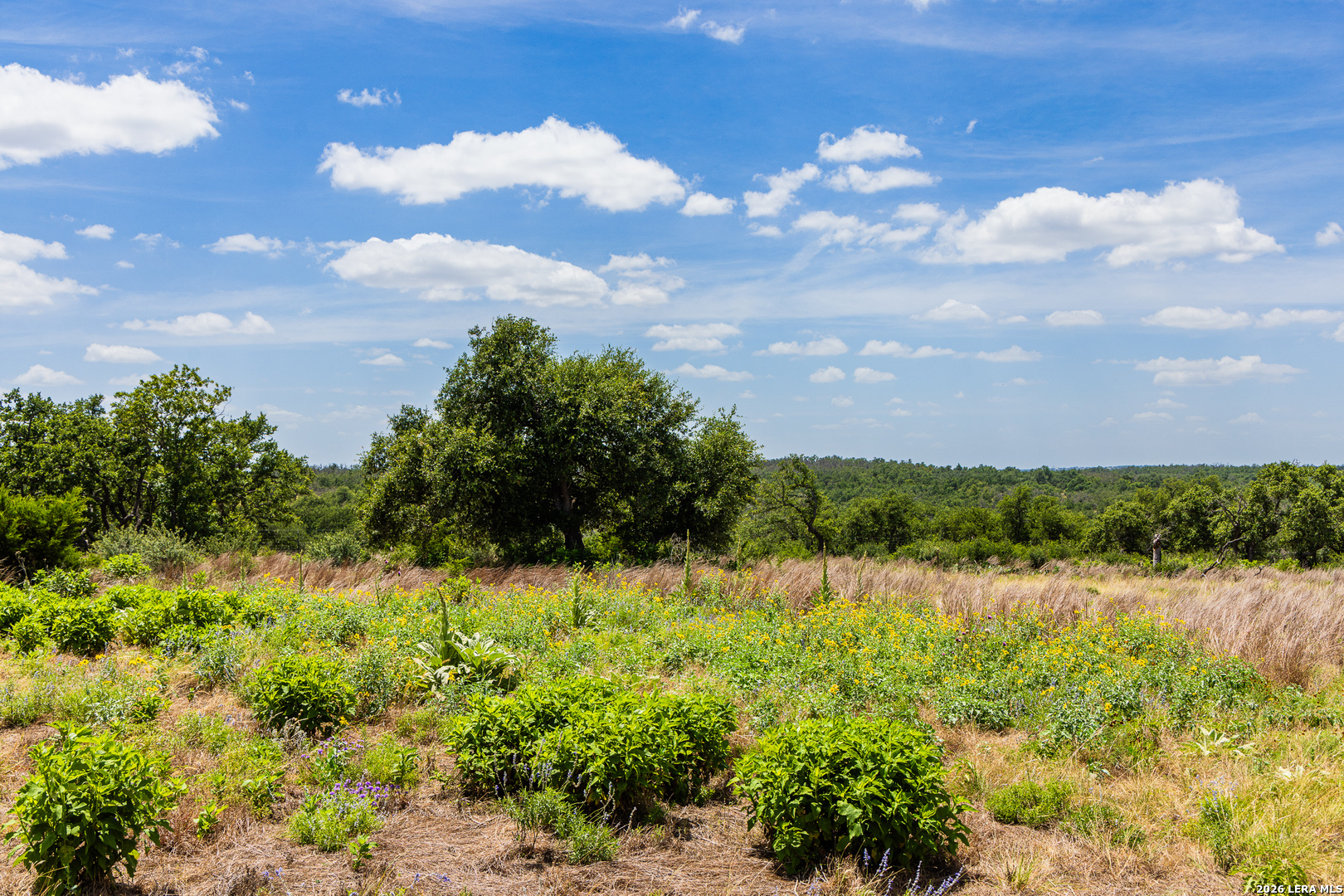 Lot 37 Boot Ranch Circle Fredericksburg, TX 78624 - Photo 3 of 20