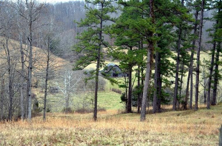 1709 Macedonia Road Irvine, KY 40336 - Photo 2 of 87 Left side of the farm!