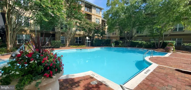 a view of a patio with table and chairs potted plants and a large tree