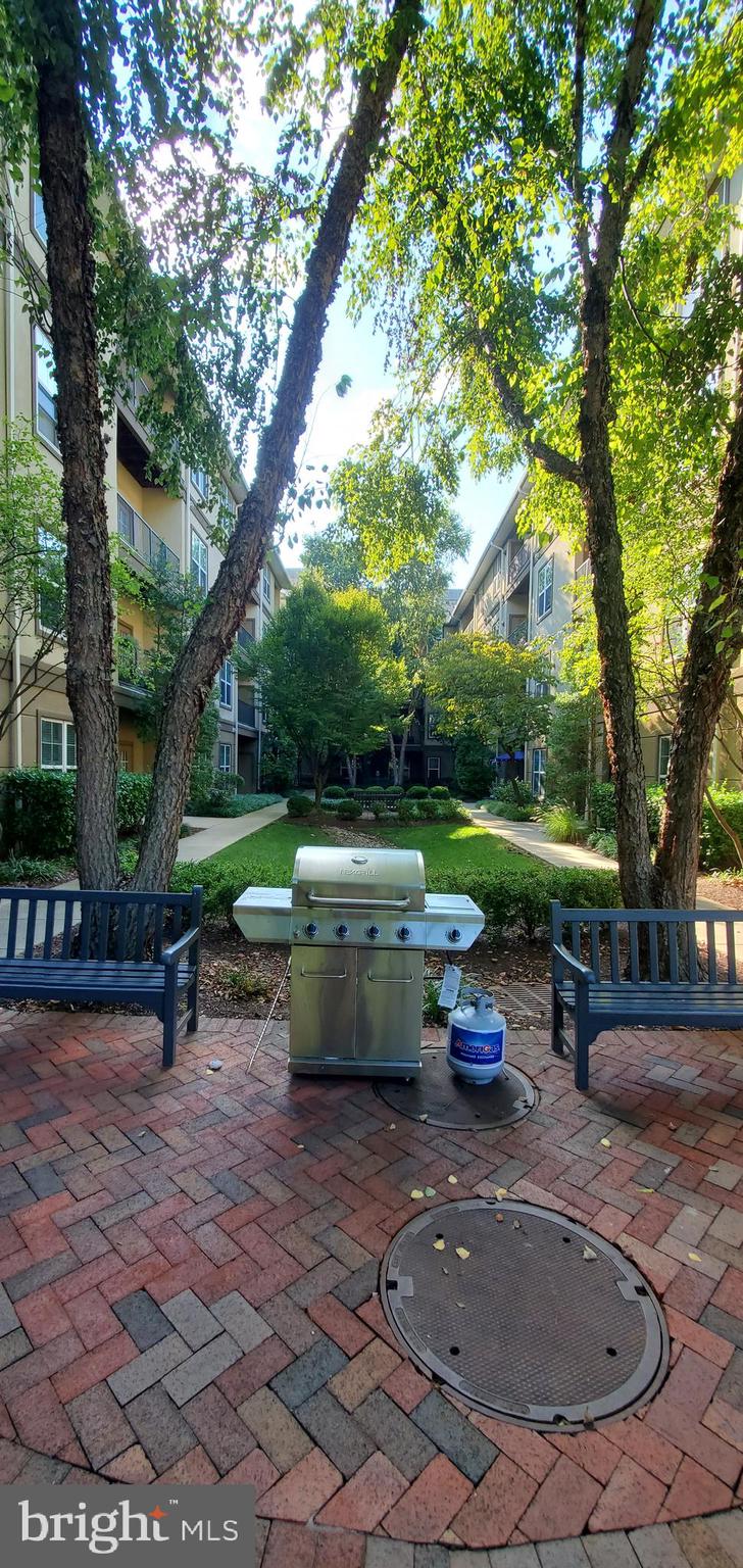 11800 Old Georgetown Road, Unit 1103 Rockville, MD 20852 - Photo 12 of 29 a view of a patio with table and chairs potted plants and a large tree