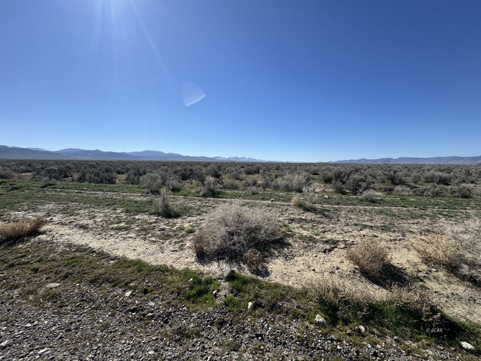 Filippini Ranch Road Battle Mountain, NV 89820 - Photo 3 of 10