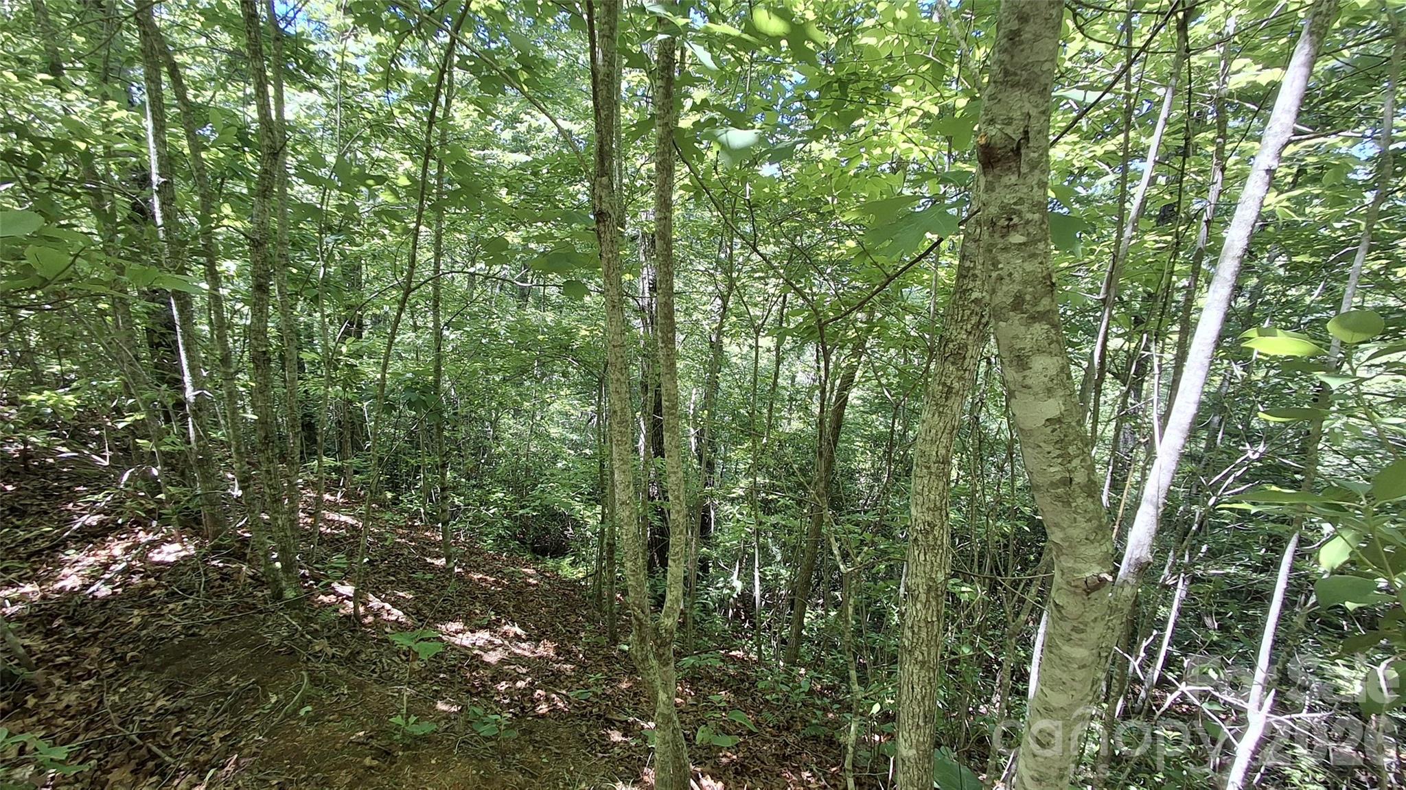 272 Kako Ridge, Unit 64 Sylva, NC 28779 - Photo 14 of 15
