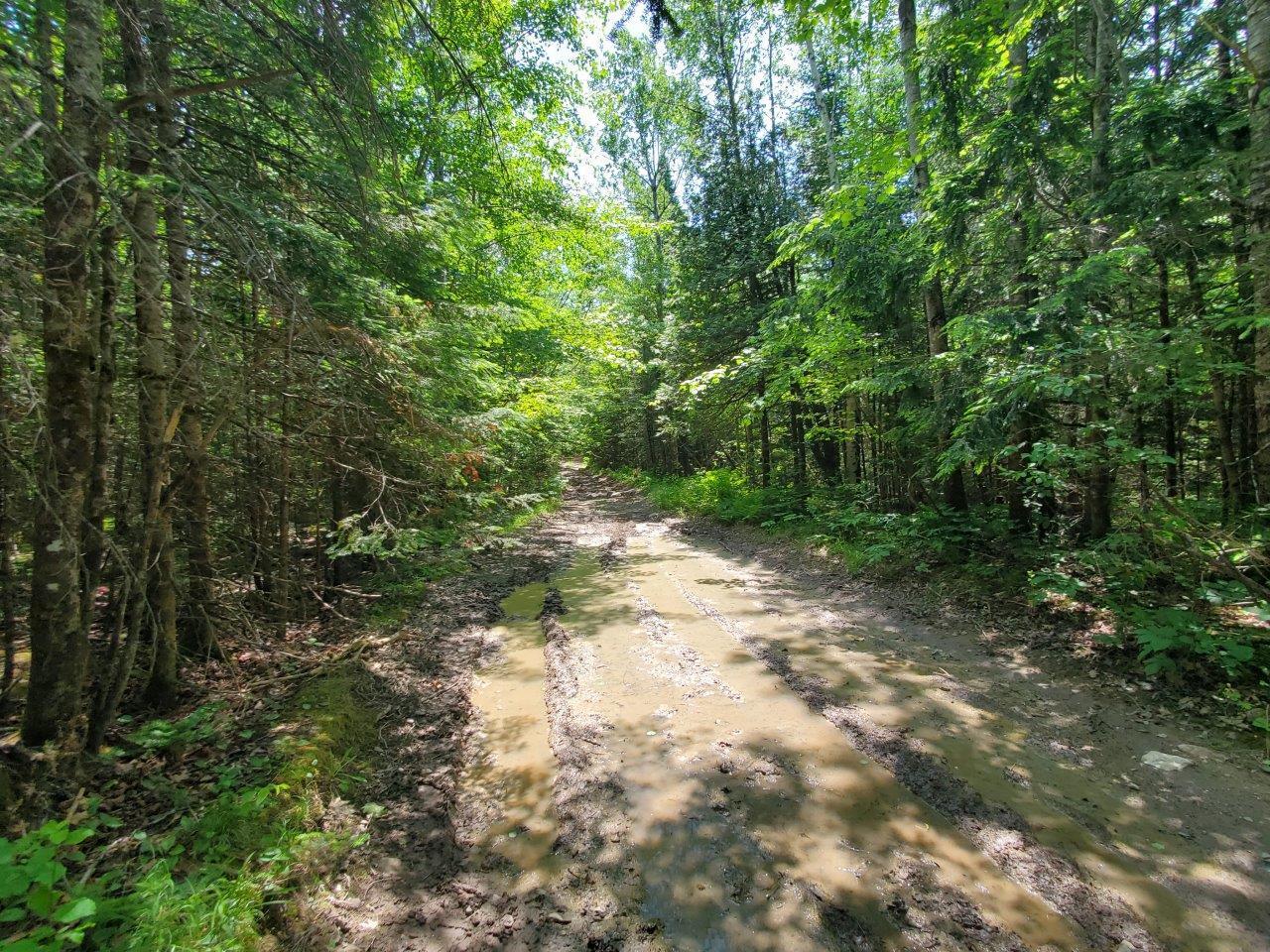 0 Morgan Road Burnham, ME 04922 - Photo 26 of 69 20250617_124019