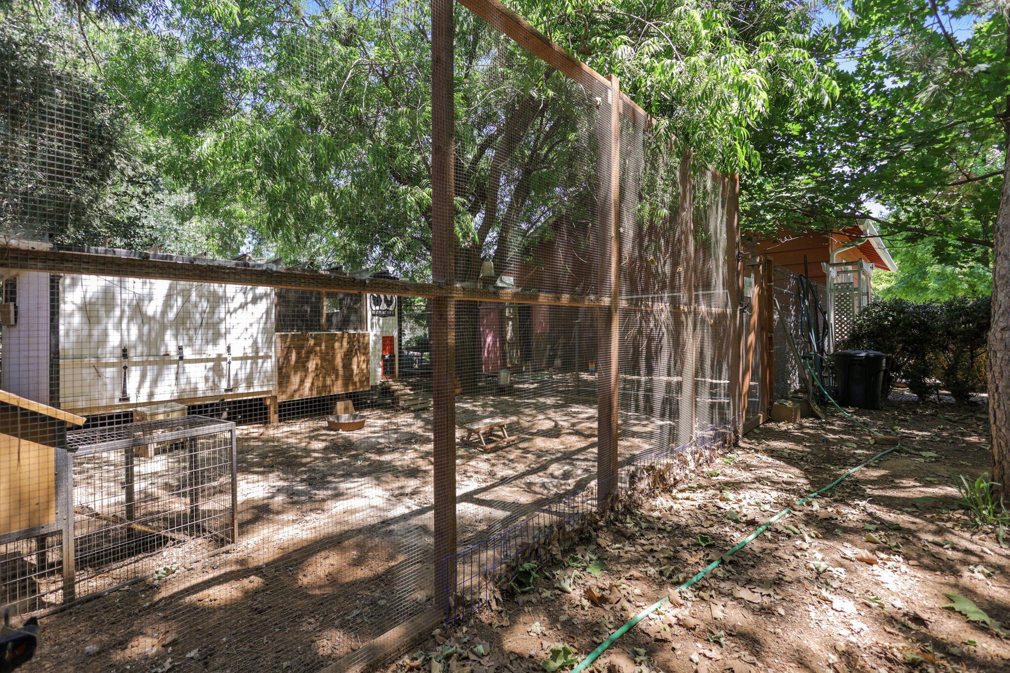 12481 Paskenta Road Red Bluff, CA 96080 - Photo 62 of 82 26-web-or-mls-8Q0A0141