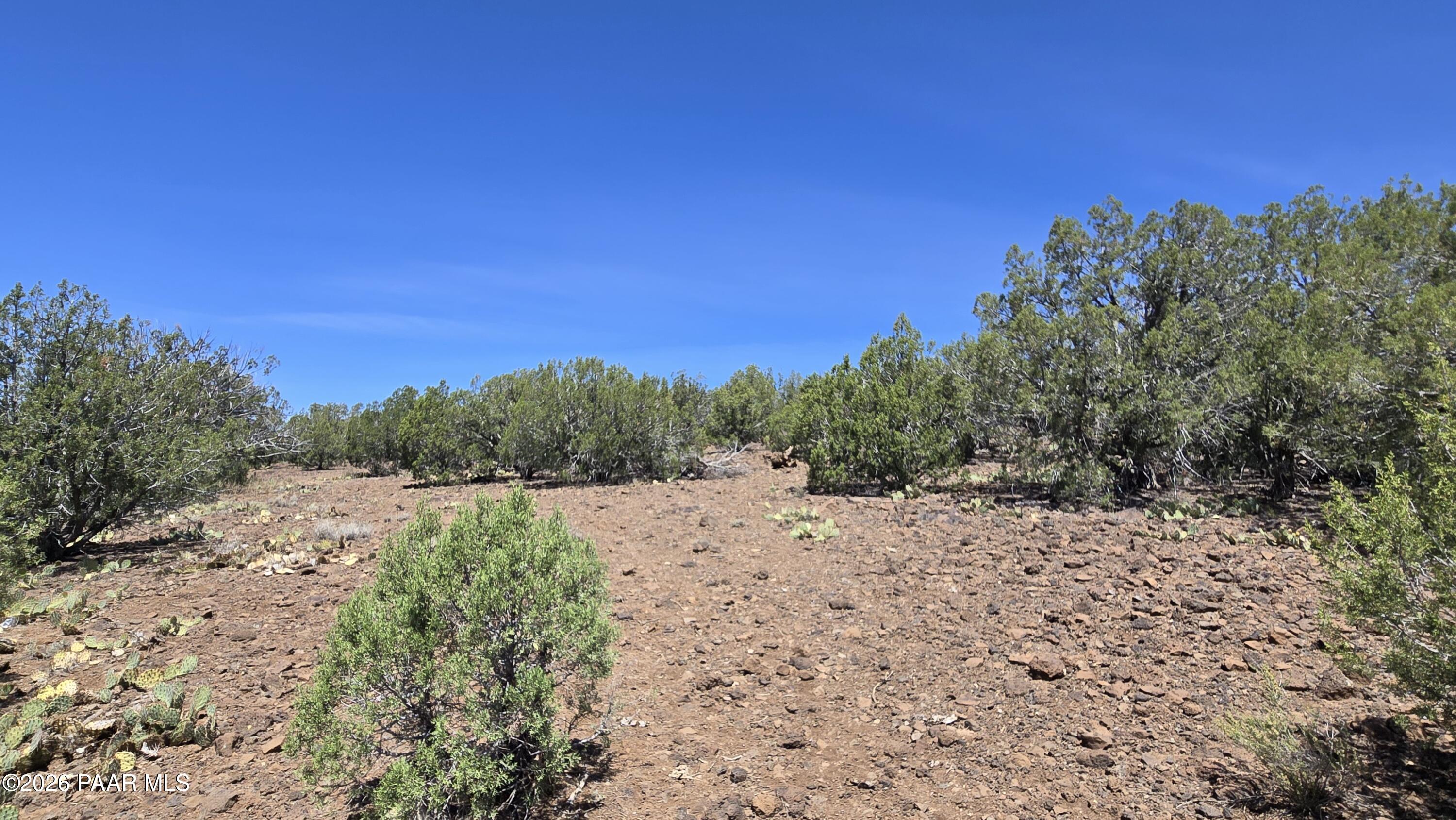 9938 Gleed Station Road Ash Fork, AZ 86320 - Photo 20 of 24 1000013967