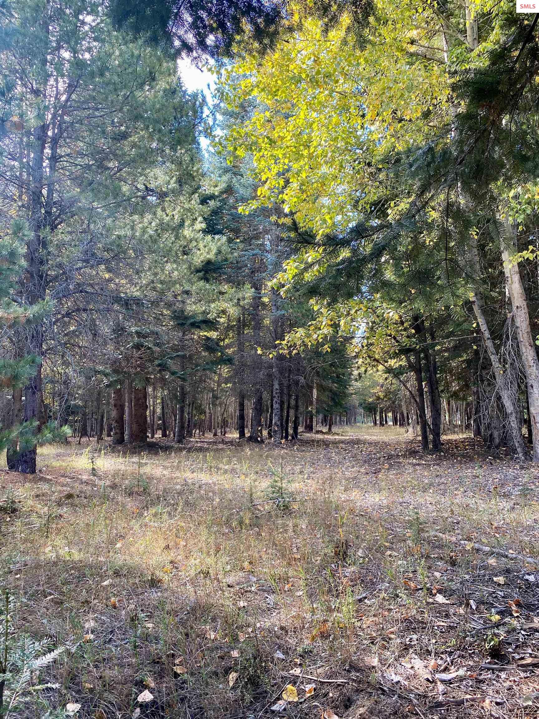 Nna Cougar Road Naples, ID 83847 - Photo 35 of 43 Gallery Image 35