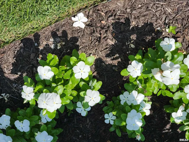 $449,000 | 2753 North Stanford Road, Flora, IL 62839