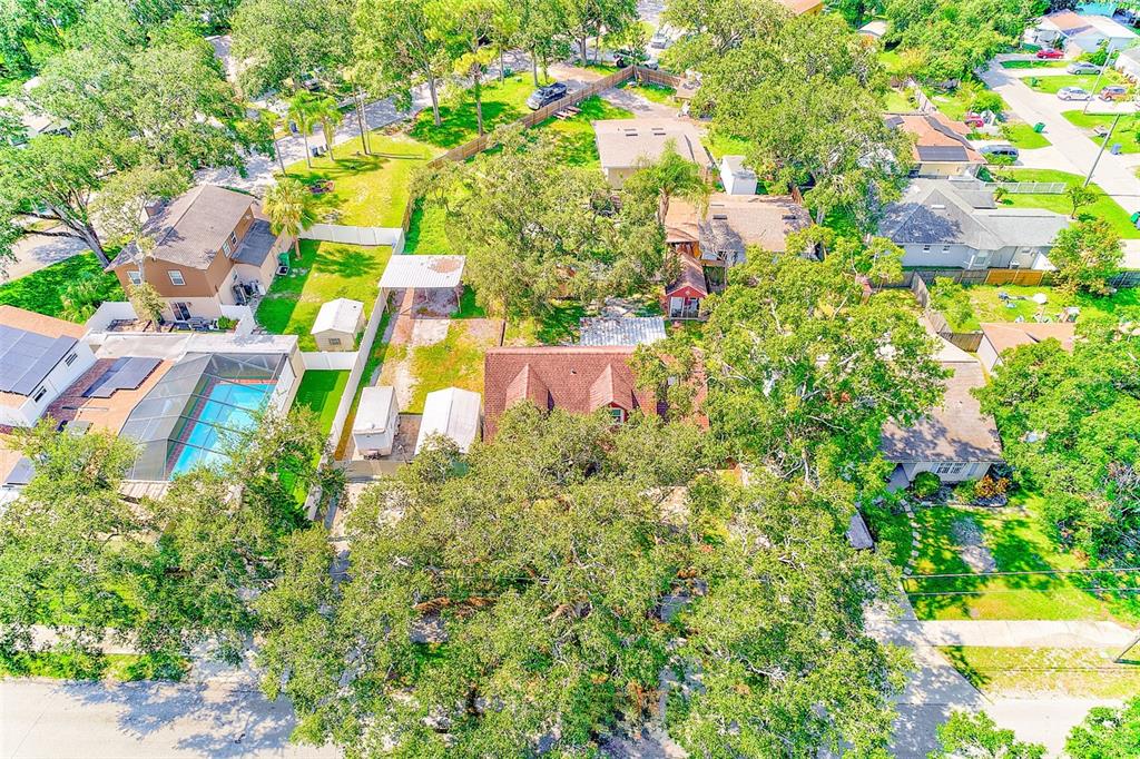 4707 East Temple Heights Road Tampa, FL 33617 - Photo 43 of 54 a view of swimming pool with lawn chairs and plants