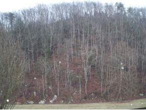 1353 Piney Flats Road Watauga, TN 37694 - Photo 1 of 3 Photo 1