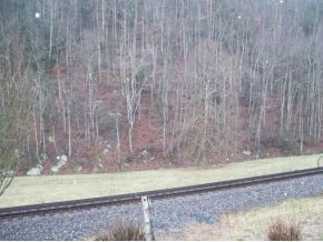 1353 Piney Flats Road Watauga, TN 37694 - Photo 2 of 3 Photo 2
