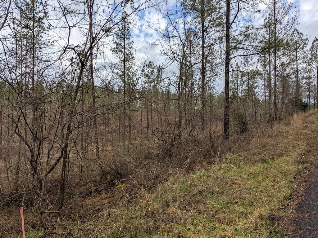 1186 Prigmore Ridge Road Decatur, TN 37322 - Photo 2 of 12