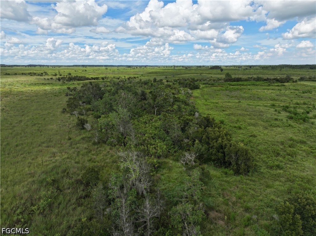 0 County Line Road East Bowling Green, FL 33834 - Photo 7 of 20