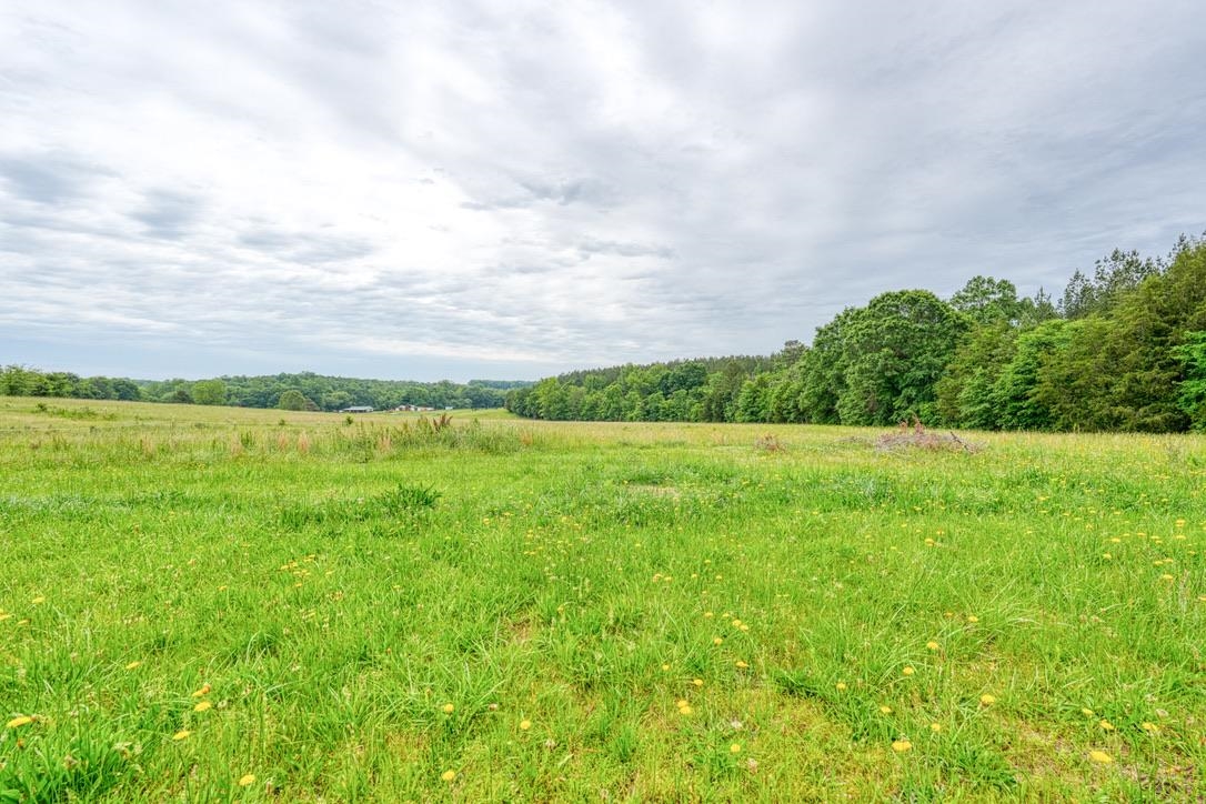 102 Ponder Road Buffalo, SC 29321 - Photo 5 of 25