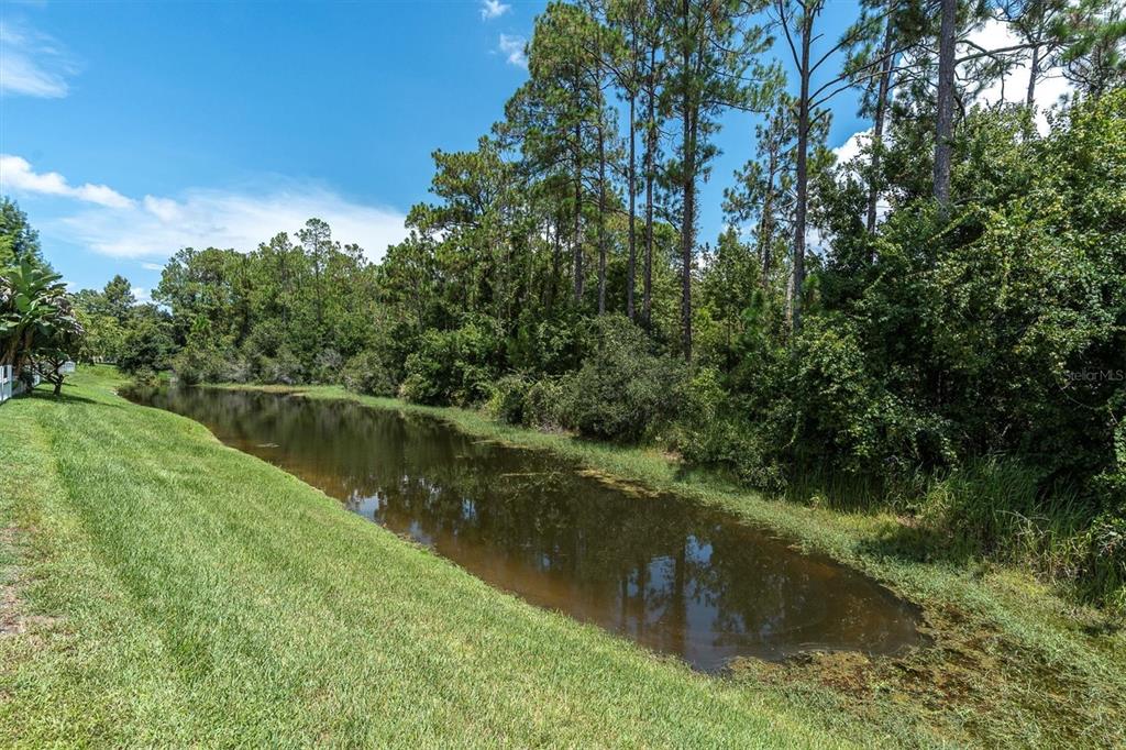 12148 Colony Lakes Boulevard New Port Richey, FL 34654 - Photo 39 of 52
